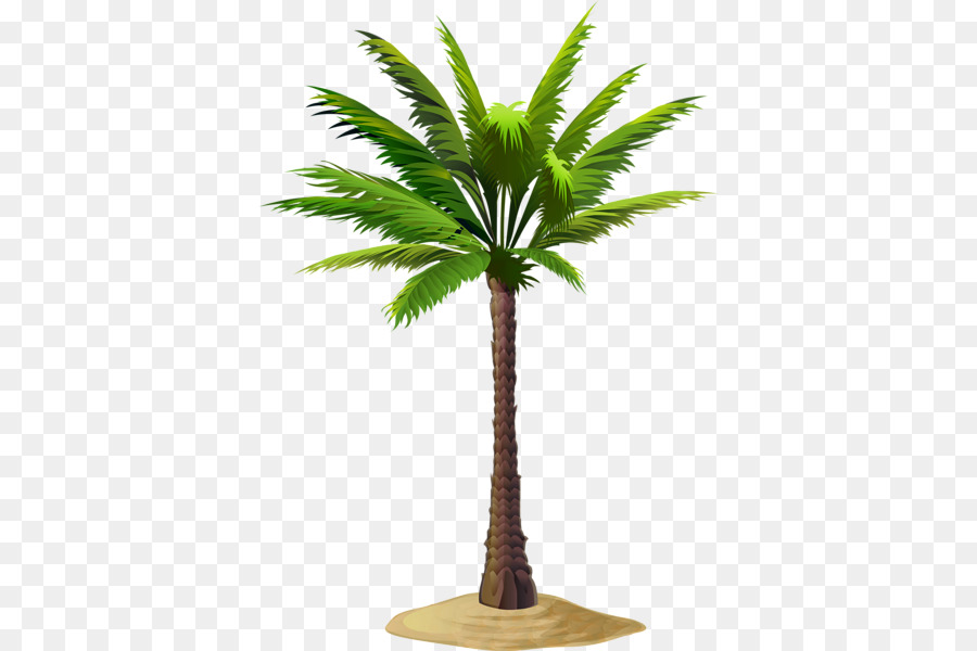 Châu á, palmyra palm Ngày cọ Dừa Cọ Clip nghệ thuật - palm lá biên giới