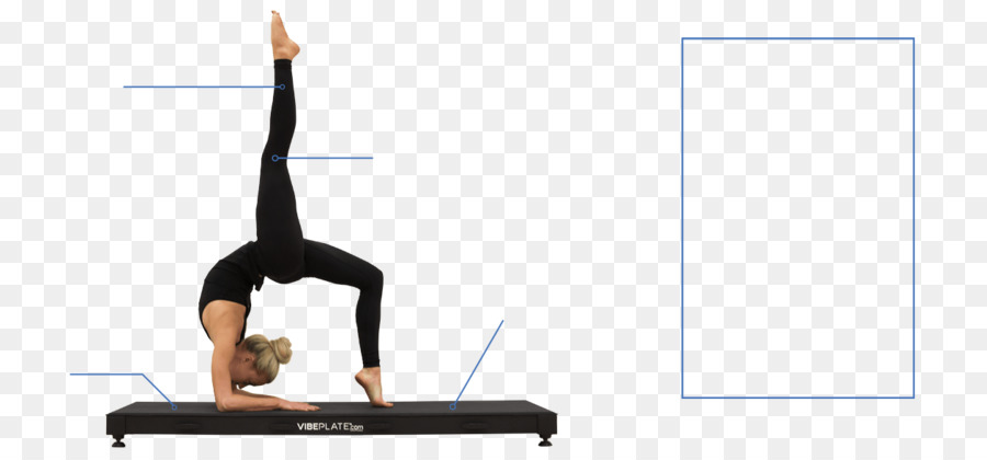 Pilates design di Prodotto Macchina di vibrazione del corpo Intero - perdita di peso di esercizio