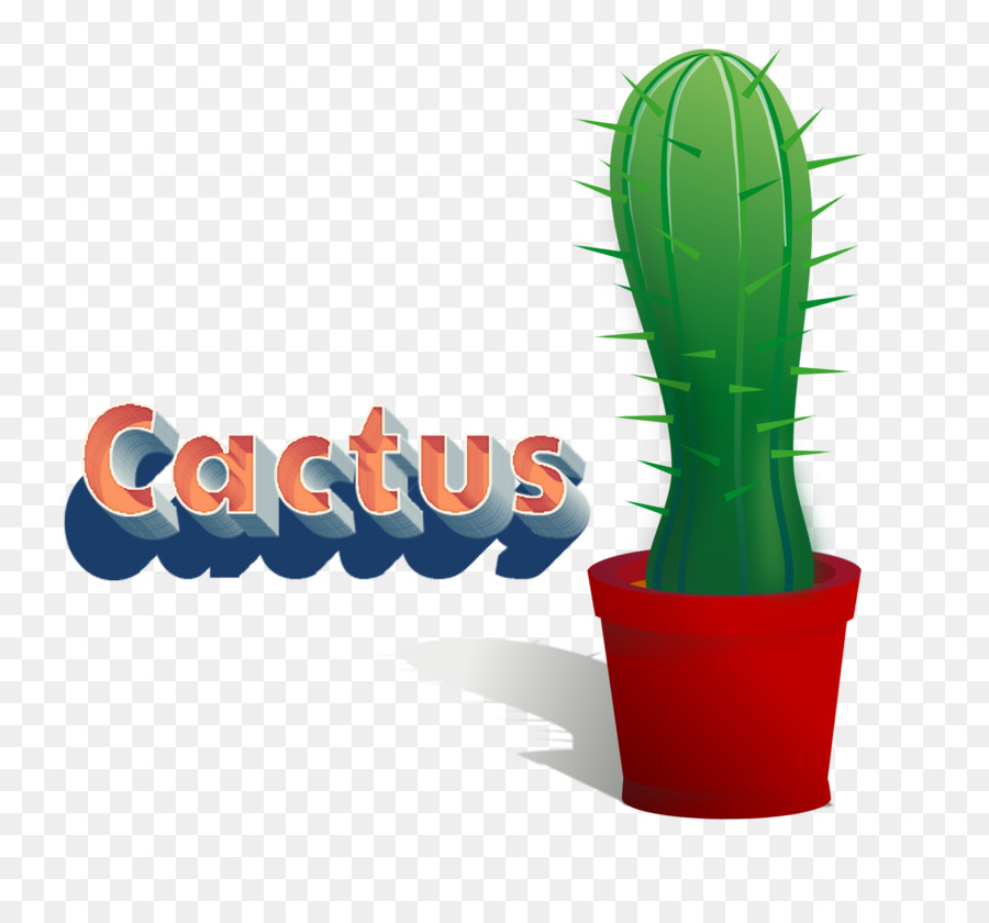 Cactus Portable Network Grafik Produkt Gestaltung Namen - Kaktus