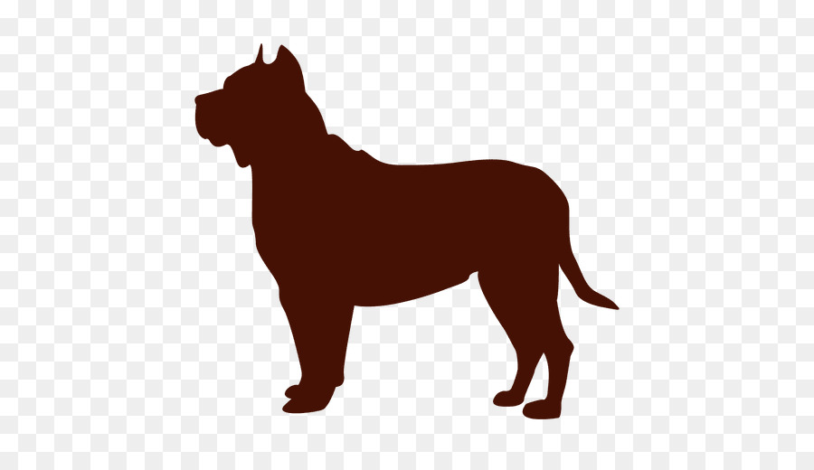 Cane razza Cucciolo di American Pit Bull Terrier, Rottweiler - pittbull