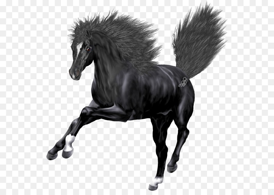 Mustang Con Ngựa Mare Dây Cương - mustang