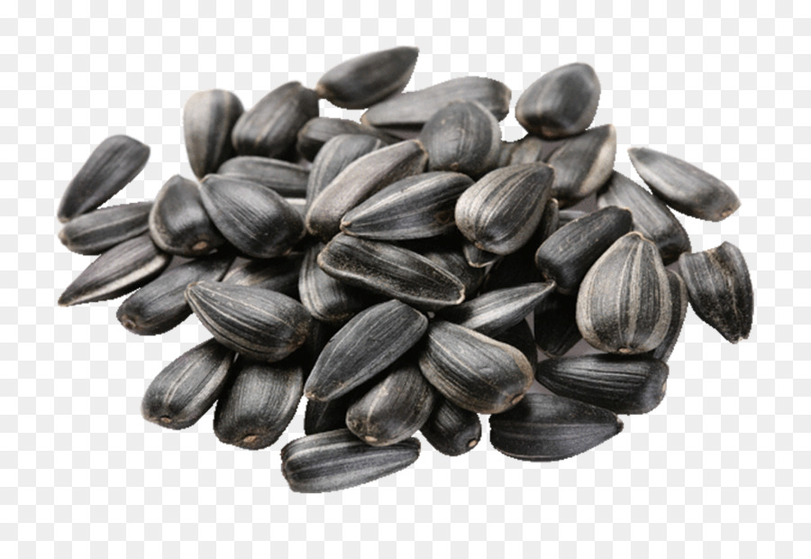 Comune di girasole semi di Girasole olio di semi di Girasole - olio di semi di girasole