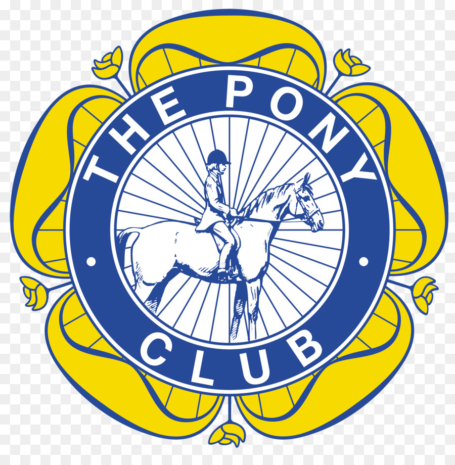 Cavallo Pony Club, Centro Ippico - la ripresa di formazione