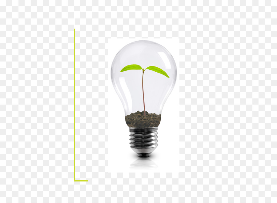 La lampadina della luce di conservazione dell'Energia, Innovazione, Organizzazione - luce