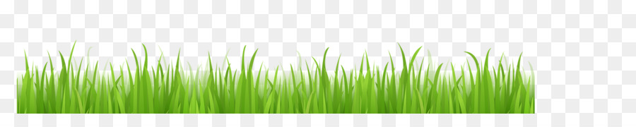 Wheatgrass Verde Sfondo del Desktop Foglia staminali Vegetali - senso della tecnologia