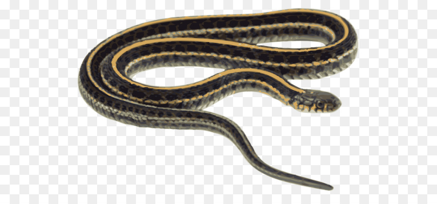 Schlangen Clip art Skaliert Reptilien östliche Strumpfbandnatter Nagetier - Schlangen clipart