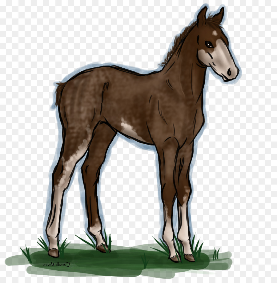 Fohlen Mustang Colt Stallion Halter - böse Geister