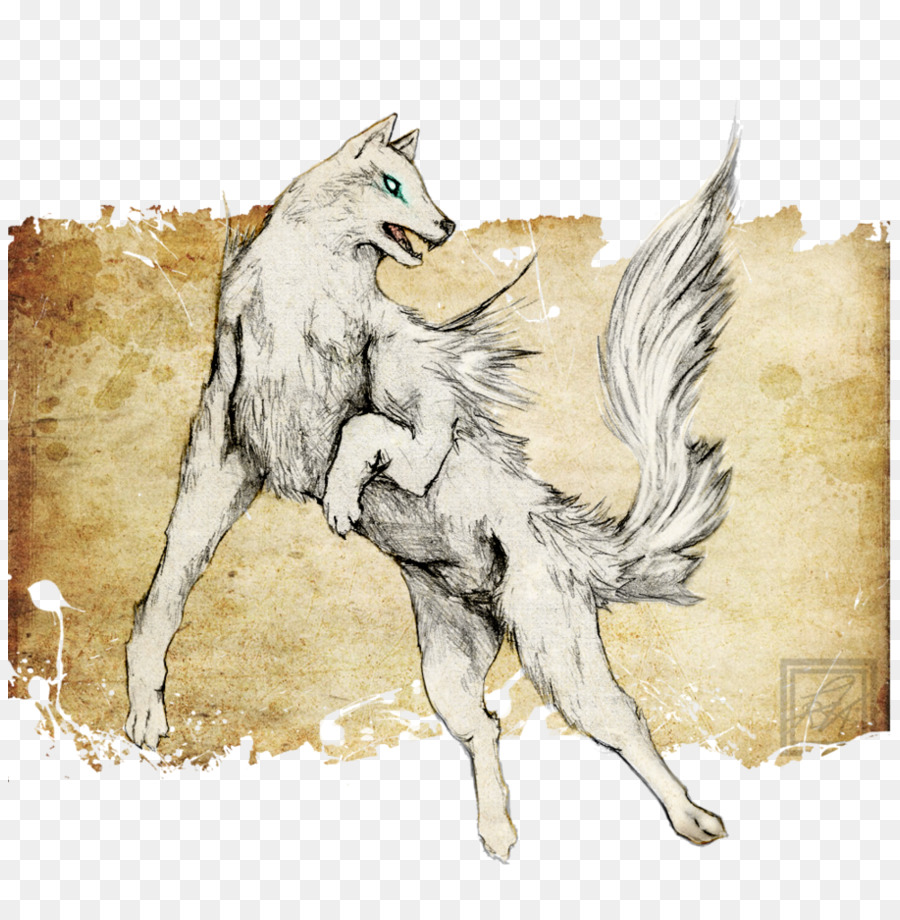 Coyote Gray wolf Zeichnung Illustration - Wolf Spirit
