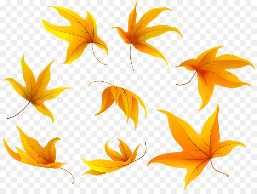 Clip-art-Bild-Herbst-Blatt color Portable Network Graphics - Herbst