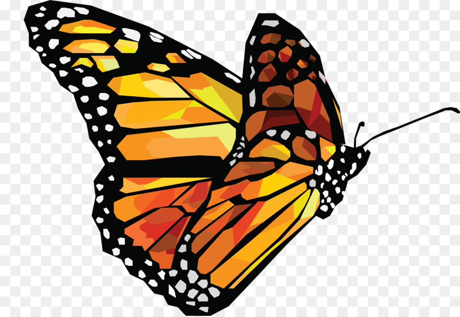 Der Monarch Schmetterling Insekt - Schmetterling