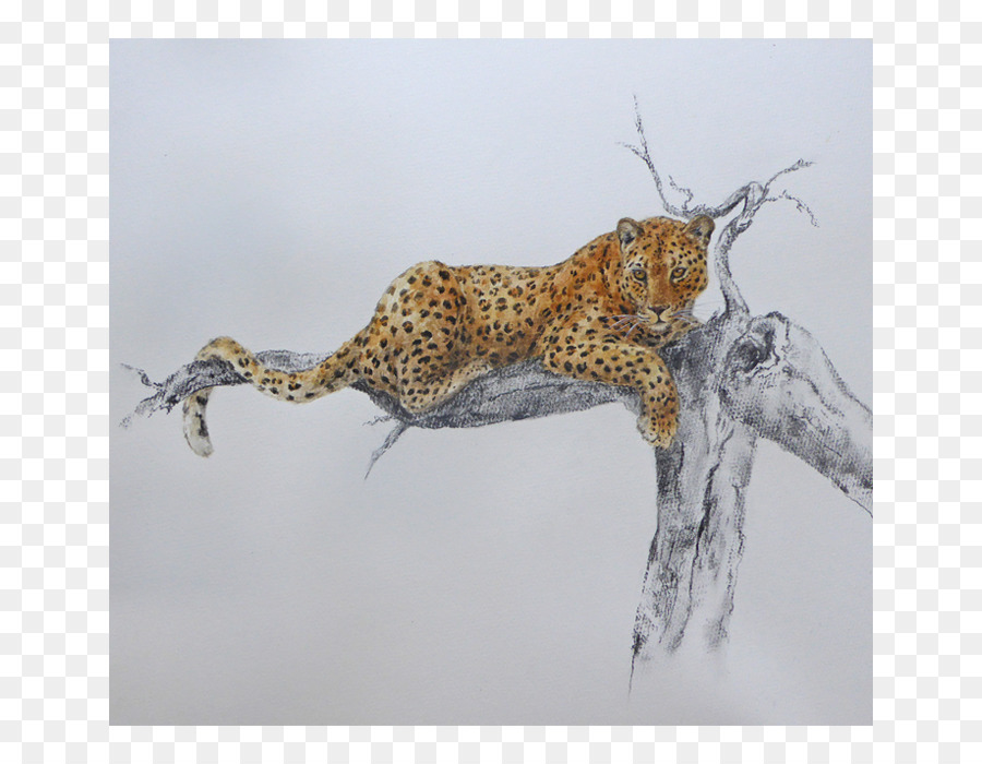 Leopard Cheetah Gatto Fauna Terrestre animale - leopardo
