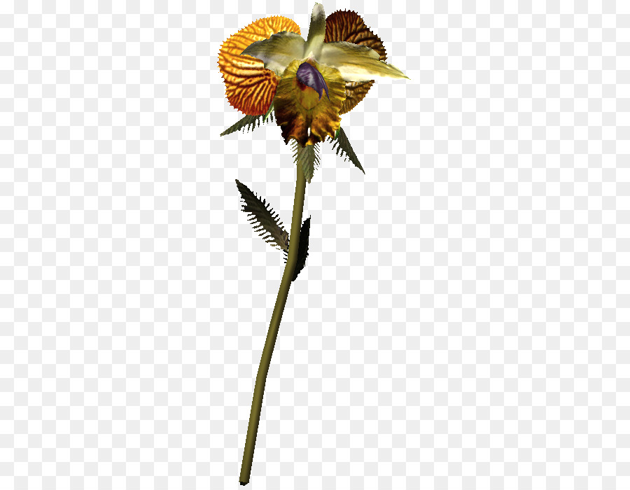 Insekt Schnittblumen, Blühende pflanze-Pflanze-Stiel Blütenblatt - Insekt