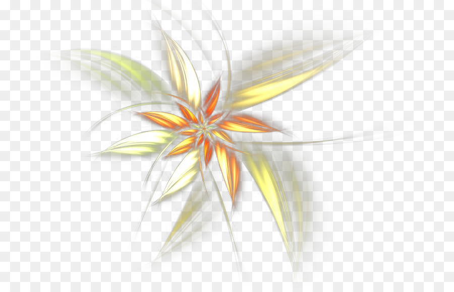 Blütenblatt Desktop-Hintergrundbild Computer - Computer