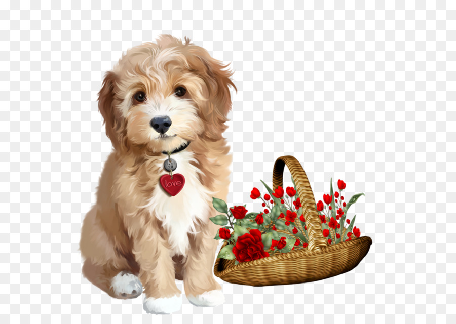 Cucciolo di Shih Tzu Barboncino pittura ad Acquerello - cucciolo
