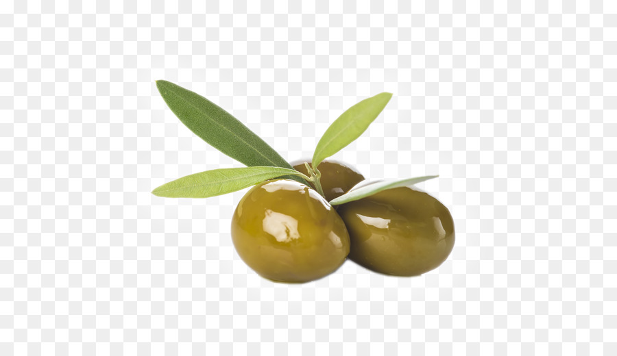 Olivenöl Salat Shutterstock - Ölzweig