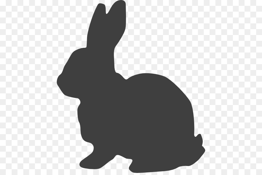 Lepre di Pasqua Coniglietto Coniglio Bianco di grafica Vettoriale - coniglio