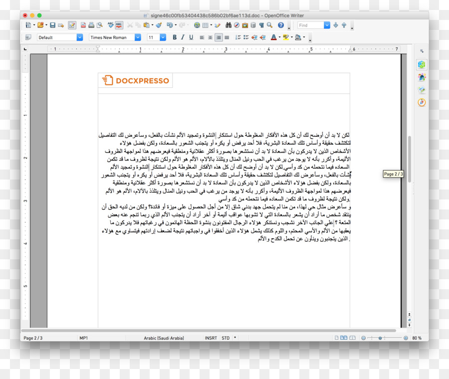 Screenshot der Web Seite Computer Programm Zeile - islamische Sprache