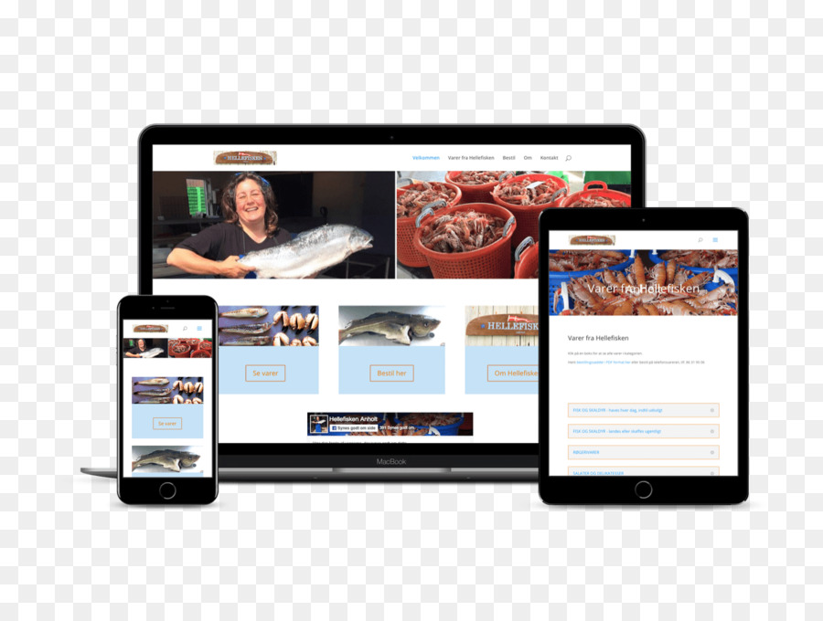 Elettronica Multimedia di Marca del Display advertising - sito web progettazione dell'interfaccia utente
