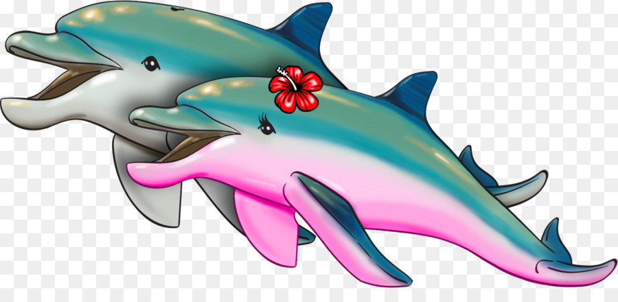 Tursiope Blob Farley squali Requiem di biologia Marina - spettacolo di delfini