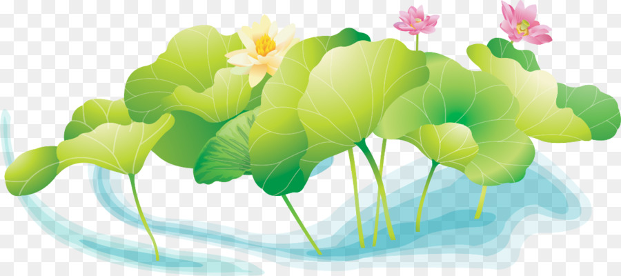 Hồ Thiêng liêng Lotus 畫荷花 Ao đồ họa Véc tơ - hoa