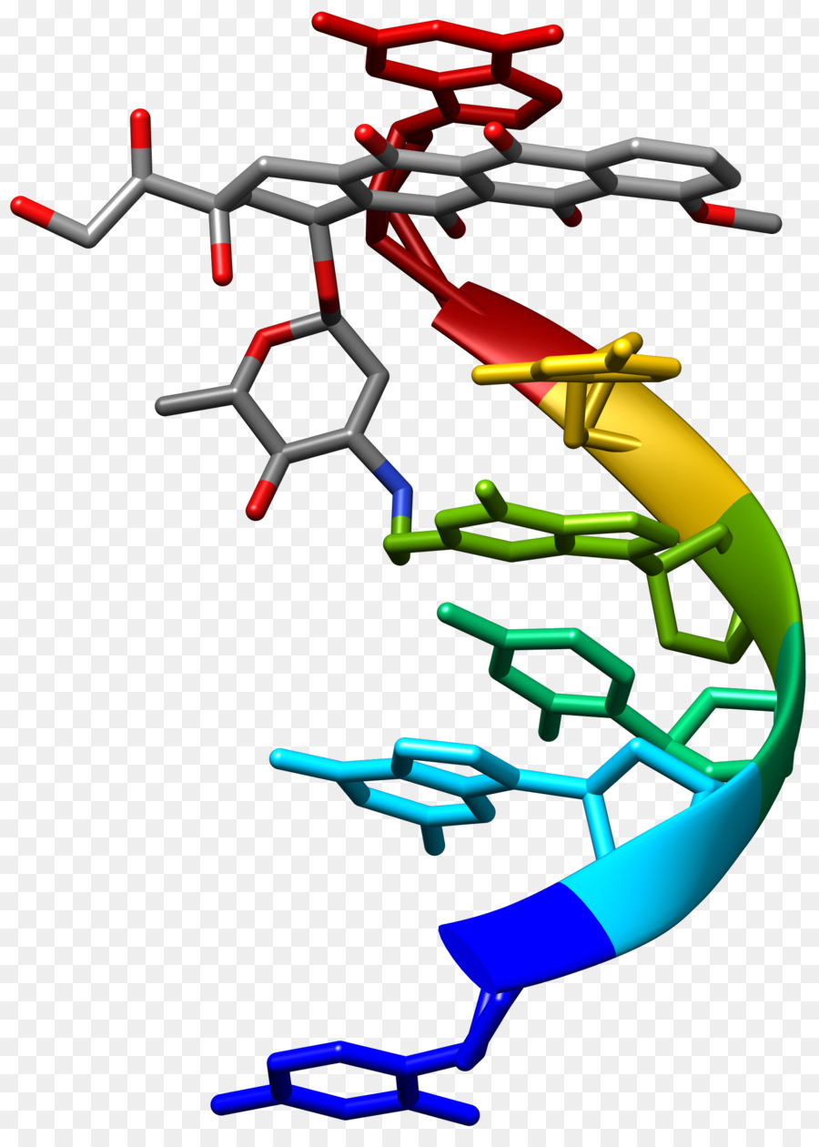 Chimica farmaceutica Molecola Ligando struttura di Cristallo - la struttura del dna umano