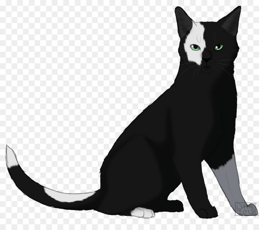 Bombay Katze-Black cat American Wirehair Inländische kurzhaarige Katze Schnurrhaare - geschmeidig