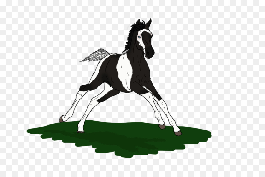 Mustang Ngựa Con Ngựa Colt Pony - mustang