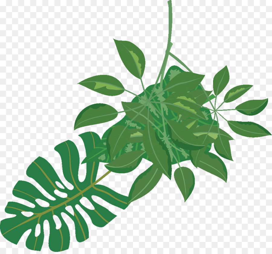 Food-Geschenk-Karte Herb Leaf - pflanze Design