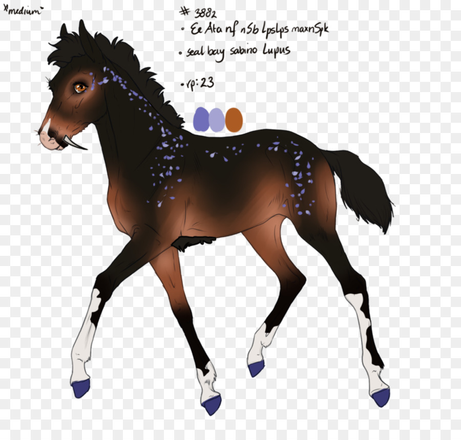 Pferd Vektor-Grafik-Illustration-Zeichnung Bild - Pferd