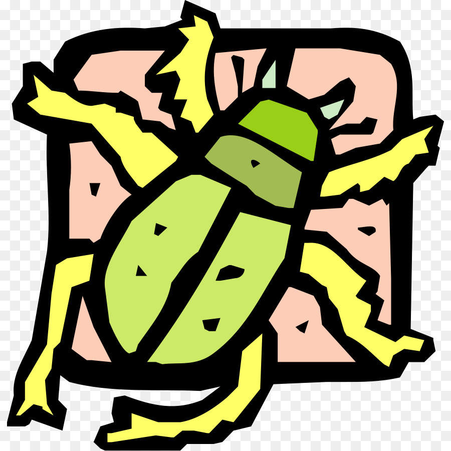 Clip art Beetle Illustrazione Portable Network Graphics, grafica Vettoriale - scarabeo
