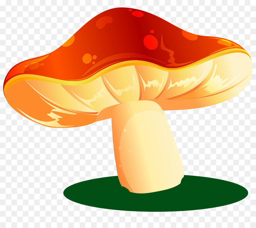Mushroom Cartoon png download - 900*800 - Free Transparent Drawing png  Download. - CleanPNG / KissPNG