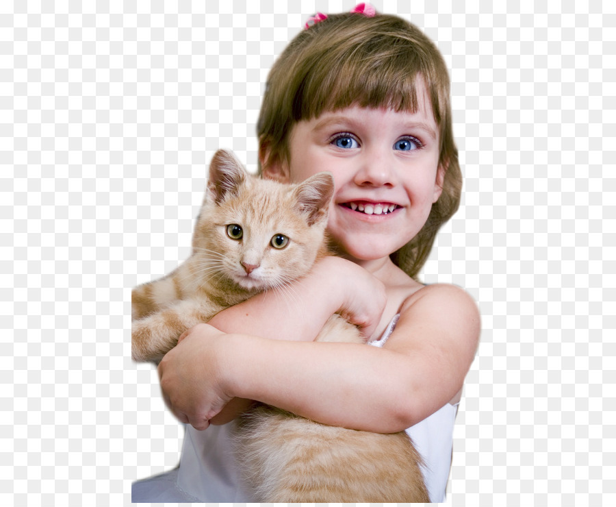 Gatto Gattino Cane adozione - gatto