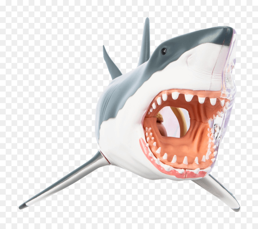 Great White Shark Background img