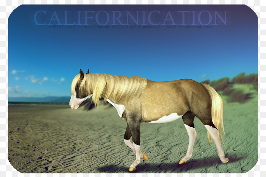 Mustang Stallion Mare Fauna Pack Tier - Mustang