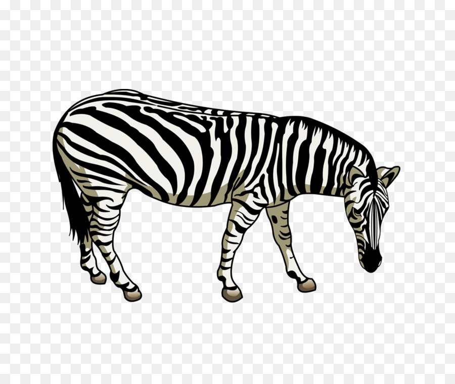 Quagga-Pferde, Zebra, Zebroid - Pferd