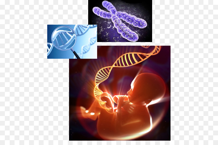 Gen di Truyền học DNA - việc vặt