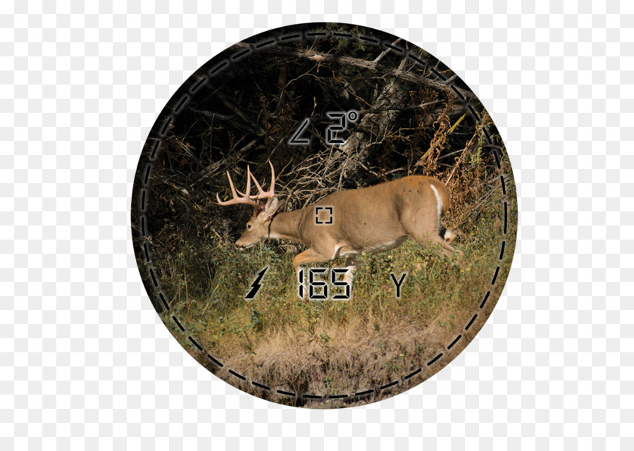 Range Finders Deer