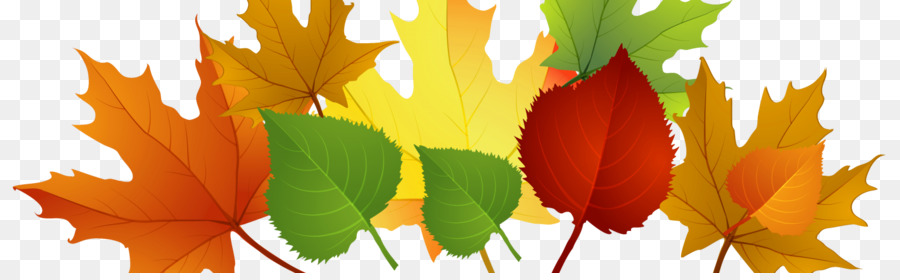 Clip-art-Herbst-Blatt, Farbe, Grenzen und Frames-Bild - Herbst