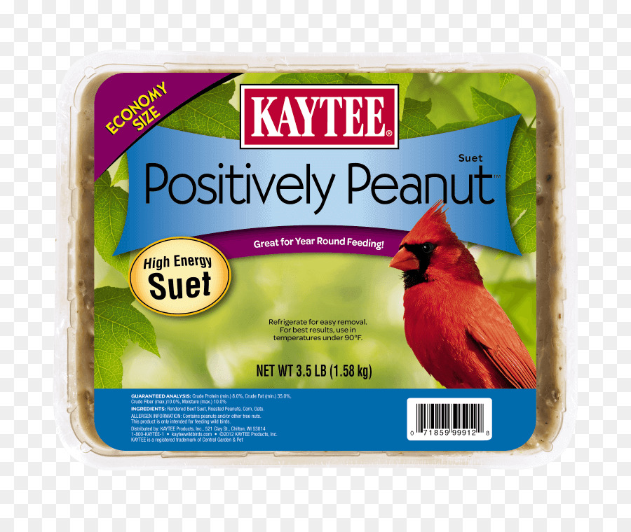 Chim Ăn Kaytee 3.5-Pound Suet và Hạt giống Chim Ăn Lớn Amazon.com - con chim