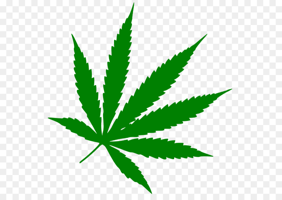Medizinische cannabis-Blatt 420 Tag Stoner-film - Cannabis