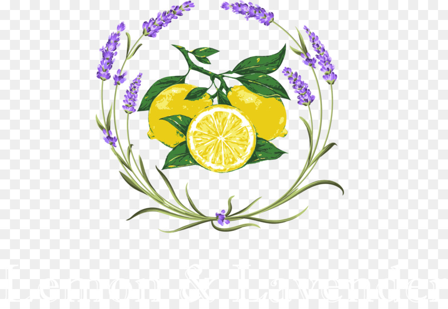 Zitrone & Lavendel-Blumen-Vektor-Grafik-clipart - Lavendel clipart