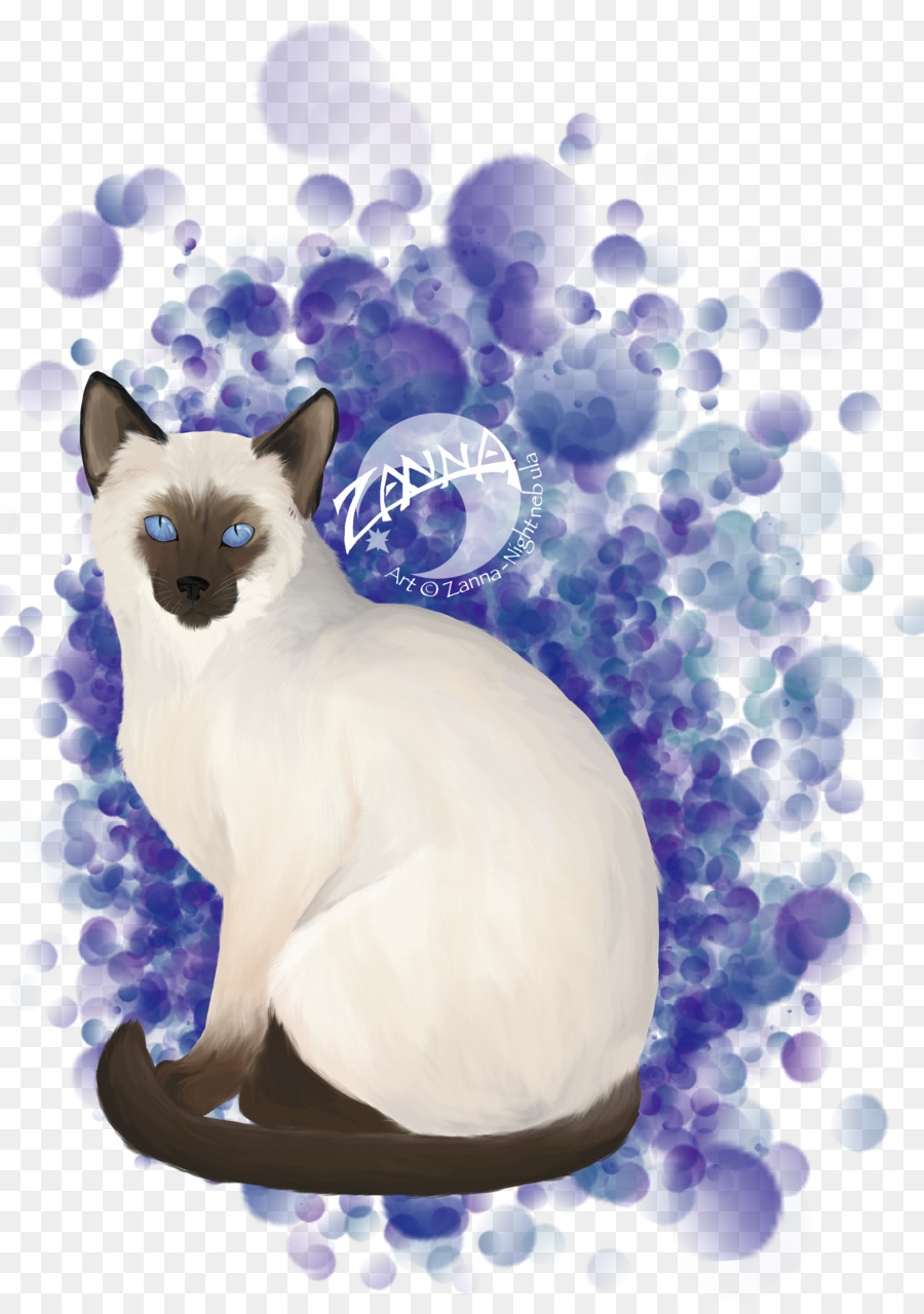 Whiskers Cat Paw Illustration Desktop Wallpaper - Geburtstag Nacht