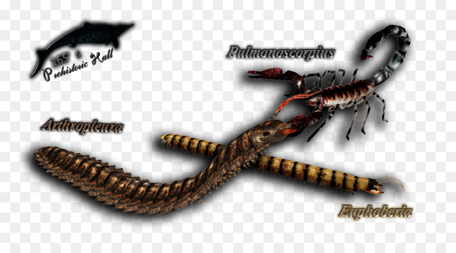 Reptile Produkt Wirbellosen - pterosaurus