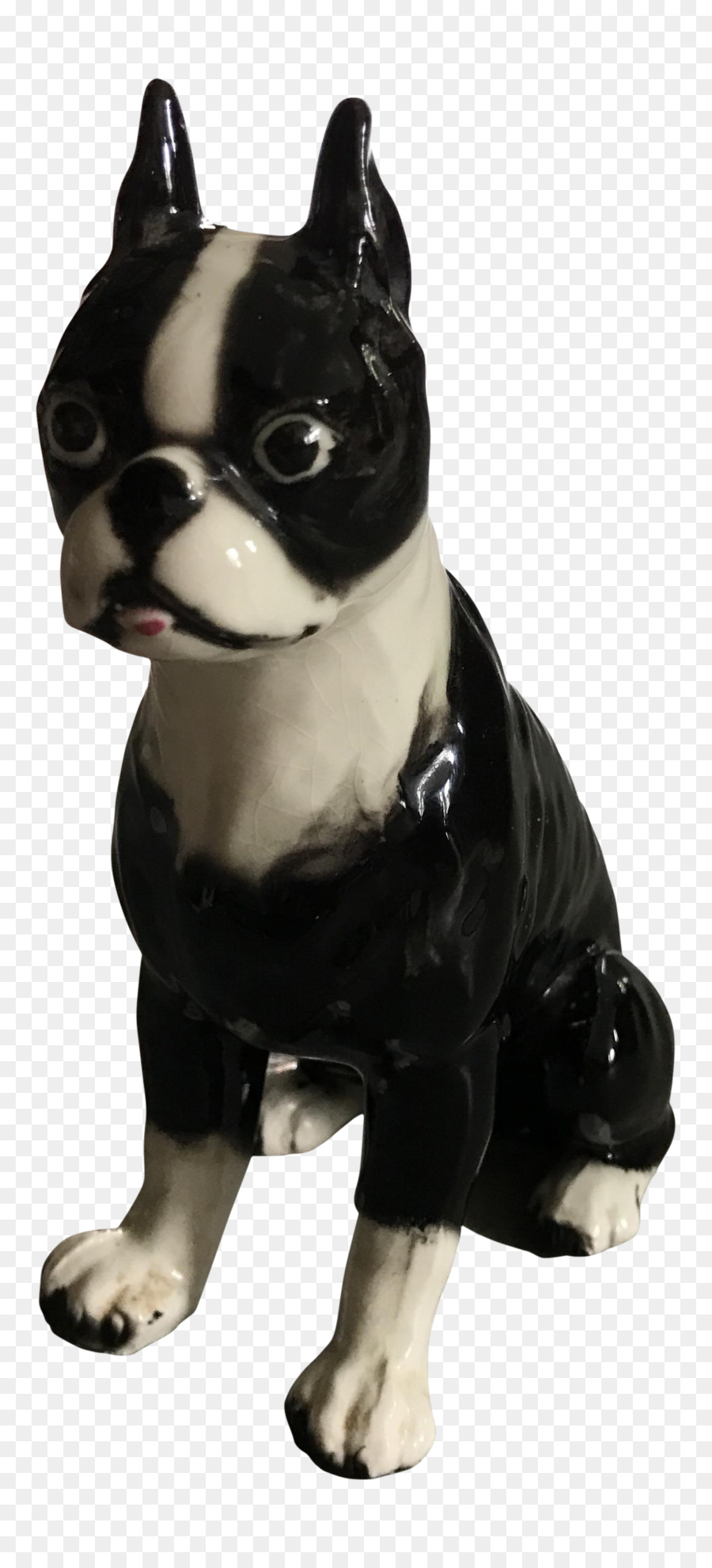 Boston Terrier Cane di razza cane da compagnia Non di un gruppo di sportivi - nero bulldog francese