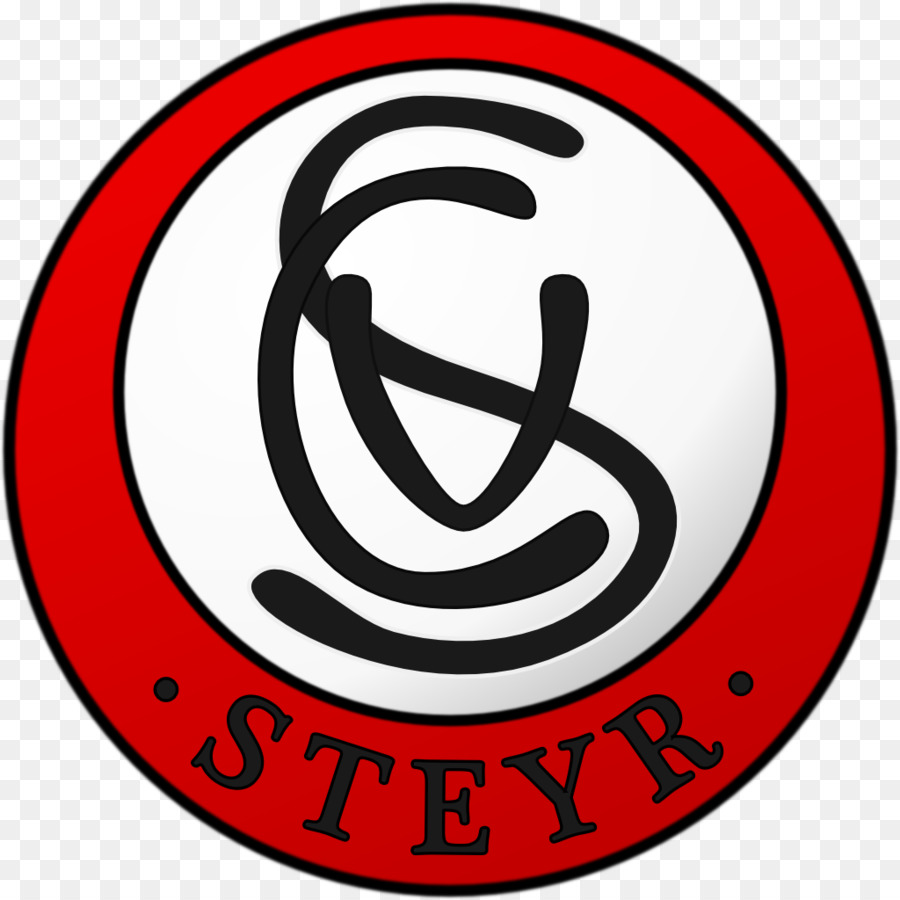 SK Avanti Steyr Austrian Cup CODOGNO Linz, Danubio FC Liefering - Calcio