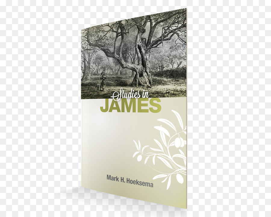 Studien in James James, Studien In der Apostelgeschichte, Studien Im Buch der Brief an die Hebräer - Buchen