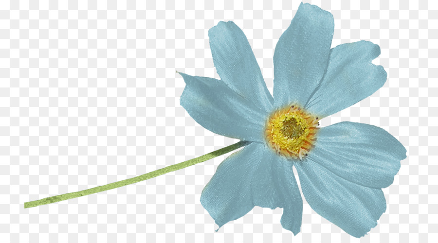 Blue Color Portable Network Graphics Bild Mavi - Blume Blau