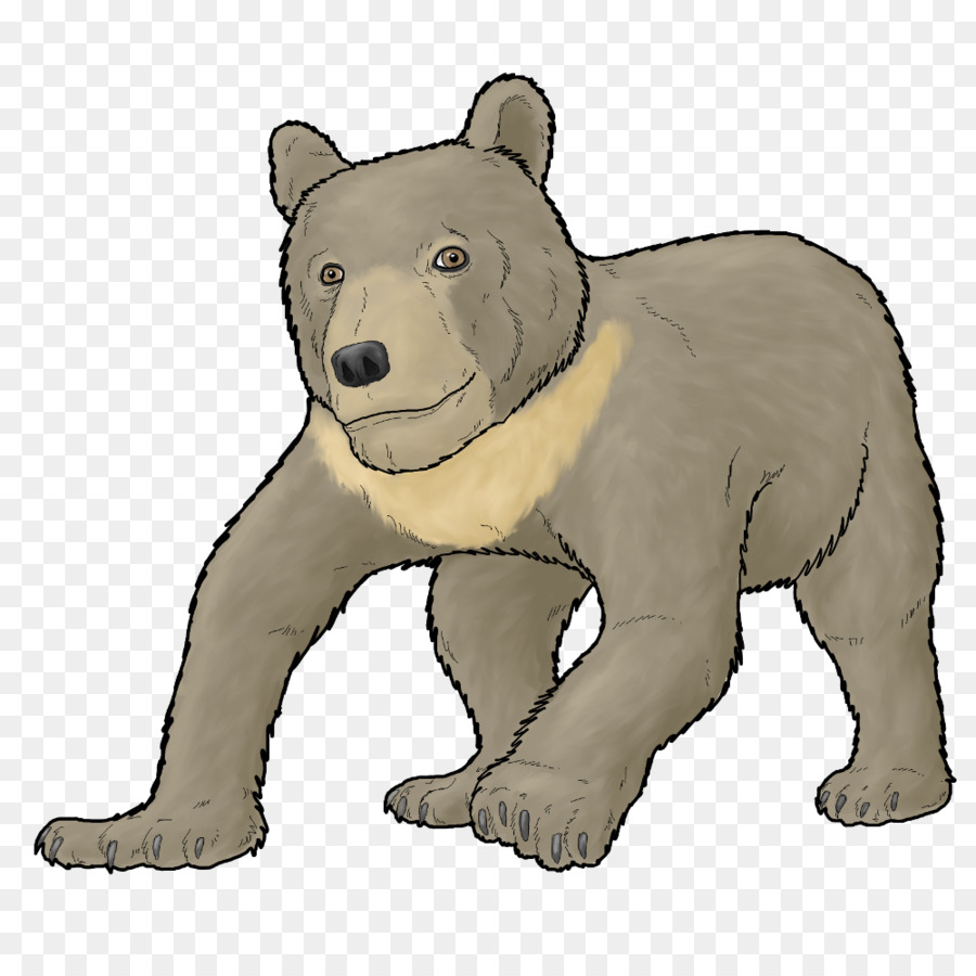 Polar bear Marrone Grotta dell'orso orso orso orso delle caverne' Grotta - Orso polare