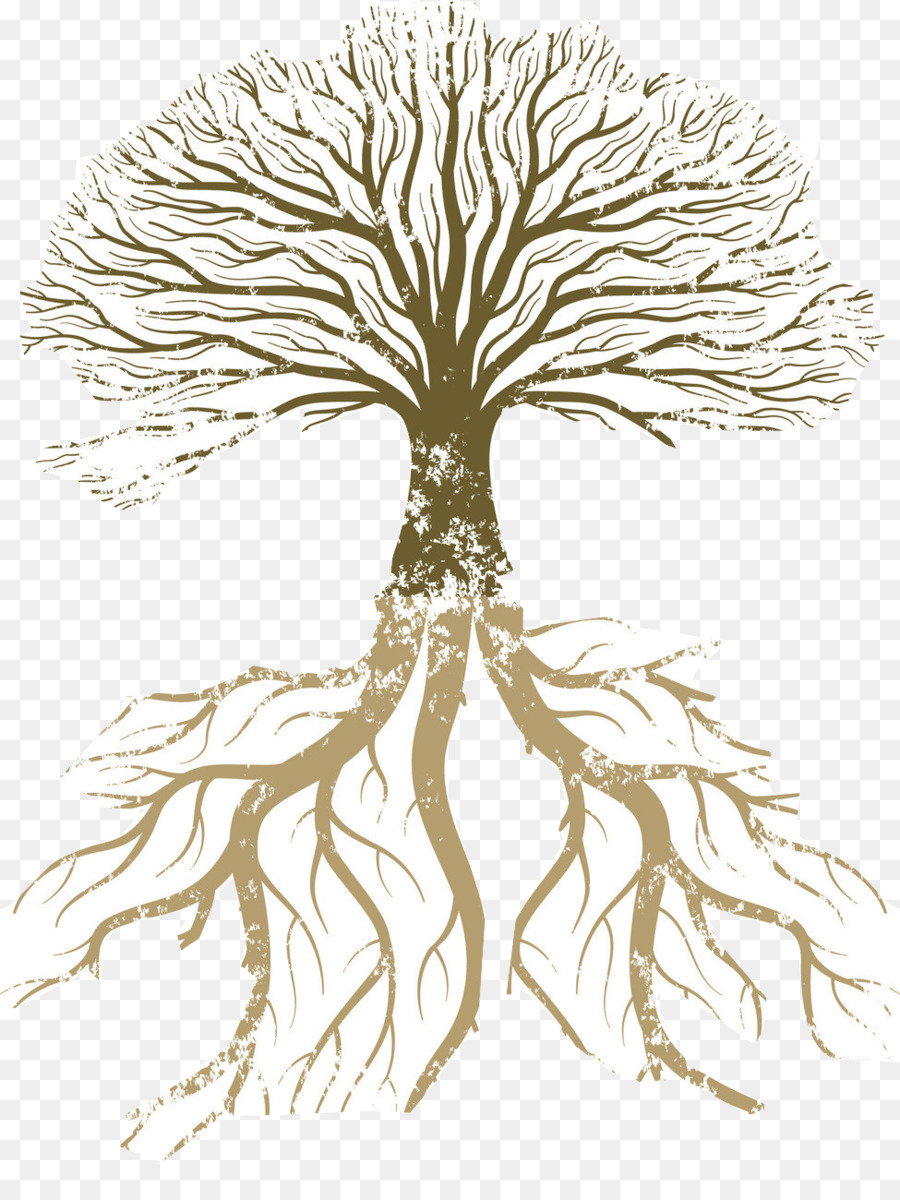 Wurzel-Baum-Vector-graphics-Zweig Abbildung - Baum