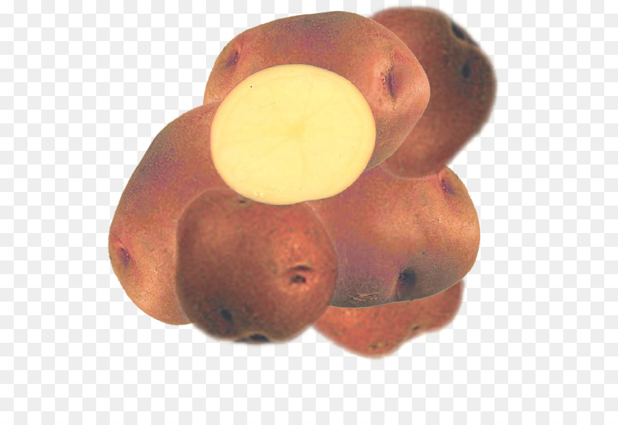 Wurzel Gemüse - rote Kartoffel